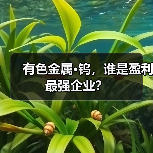 有色金属·钨,谁是盈利最强企业?(图2) 有色金属·钨,谁是盈利最强企业?(图2)
