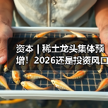 资本 | 稀土龙头集体预增!2026还是投资风口吗?(图3) 资本 | 稀土龙头集体预增!2026还是投资风口吗?(图3)