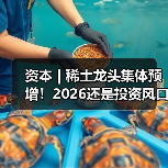 资本 | 稀土龙头集体预增!2026还是投资风口吗?(图4) 资本 | 稀土龙头集体预增!2026还是投资风口吗?(图4)
