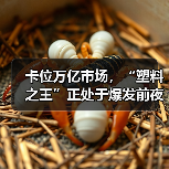 卡位万亿市场,“塑料之王”正处于爆发前夜(图4) 卡位万亿市场,“塑料之王”正处于爆发前夜(图4)