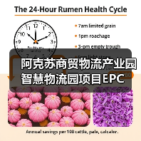 阿克苏商贸物流产业园智慧物流园项目EPC(图4) 阿克苏商贸物流产业园智慧物流园项目EPC(图4)