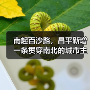 南起百沙路,昌平新增一条贯穿南北的城市主干路(图3) 南起百沙路,昌平新增一条贯穿南北的城市主干路(图3)