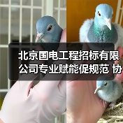 北京国电工程招标有限公司专业赋能促规范 协同共赢谱新篇(图3) 北京国电工程招标有限公司专业赋能促规范 协同共赢谱新篇(图3)