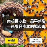 南起百沙路,昌平新增一条贯穿南北的城市主干路(图2) 南起百沙路,昌平新增一条贯穿南北的城市主干路(图2)