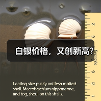 白银价格,又创新高?(图4) 白银价格,又创新高?(图4)