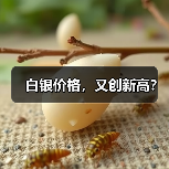 白银价格,又创新高?(图3) 白银价格,又创新高?(图3)