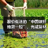 股价低迷的“中国碳纤维第一股”,光威复材手握40亿订单等待爆发(图1) 股价低迷的“中国碳纤维第一股”,光威复材手握40亿订单等待爆发(图1)