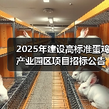 2025年建设高标准蛋鸡产业园区项目招标公告(图4) 2025年建设高标准蛋鸡产业园区项目招标公告(图4)