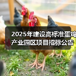 2025年建设高标准蛋鸡产业园区项目招标公告(图3) 2025年建设高标准蛋鸡产业园区项目招标公告(图3)