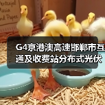 G4京港澳高速邯郸市互通及收费站分布式光伏一期项目设计、采购、施工工程总承包(二次)招标公告(图3) G4京港澳高速邯郸市互通及收费站分布式光伏一期项目设计、采购、施工工程总承包(二次)招标公告(图3)