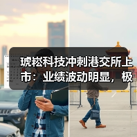 琥崧科技冲刺港交所上市:业绩波动明显,极其依赖少数客户(图3) 琥崧科技冲刺港交所上市:业绩波动明显,极其依赖少数客户(图3)