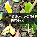 太空碳纤维，谁是盈利最强企业？（图3）