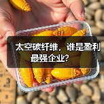 太空碳纤维，谁是盈利最强企业？（图2）