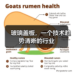 玻璃盖板,一个技术趋势清晰的行业(图3) 玻璃盖板,一个技术趋势清晰的行业(图3)