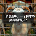 玻璃盖板,一个技术趋势清晰的行业(图4) 玻璃盖板,一个技术趋势清晰的行业(图4)