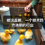 玻璃盖板,一个技术趋势清晰的行业(图2) 玻璃盖板,一个技术趋势清晰的行业(图2)
