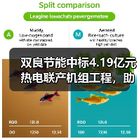 双良节能中标4.19亿元热电联产机组工程，助力京津冀能源供应（图3）