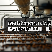 双良节能中标4.19亿元热电联产机组工程，助力京津冀能源供应（图1）
