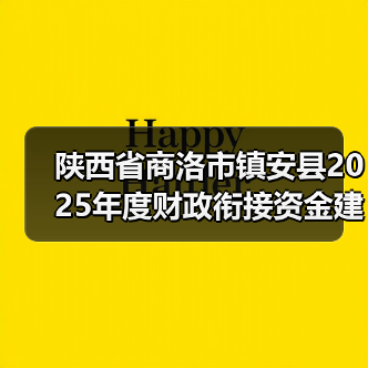 陕西省商洛市镇安县2025年度财政衔接资金建设产业路项目(2标段)(图2) 陕西省商洛市镇安县2025年度财政衔接资金建设产业路项目(2标段)(图2)
