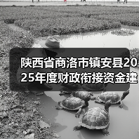 陕西省商洛市镇安县2025年度财政衔接资金建设产业路项目(2标段)(图3) 陕西省商洛市镇安县2025年度财政衔接资金建设产业路项目(2标段)(图3)