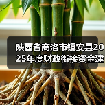 陕西省商洛市镇安县2025年度财政衔接资金建设产业路项目(2标段)(图1) 陕西省商洛市镇安县2025年度财政衔接资金建设产业路项目(2标段)(图1)