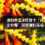 洛阳市孟津区首个“评定分离”项目顺利完成定标(图3) 洛阳市孟津区首个“评定分离”项目顺利完成定标(图3)