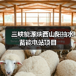三峡能源陕西山阳抽水蓄能电站项目(图1) 三峡能源陕西山阳抽水蓄能电站项目(图1)
