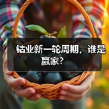钴业新一轮周期,谁是赢家?(图2) 钴业新一轮周期,谁是赢家?(图2)