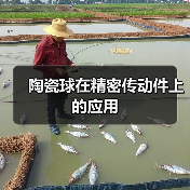 陶瓷球在精密传动件上的应用(图3) 陶瓷球在精密传动件上的应用(图3)