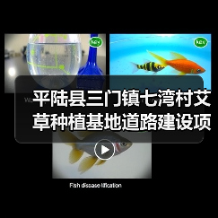 平陆县三门镇七湾村艾草种植基地道路建设项目采购公告(图1) 平陆县三门镇七湾村艾草种植基地道路建设项目采购公告(图1)
