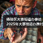 杨陵区大寨街道办事处2025年大寨街道办跨村联建农业产园二期建设项目竞争性谈判公告(图1) 杨陵区大寨街道办事处2025年大寨街道办跨村联建农业产园二期建设项目竞争性谈判公告(图1)