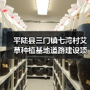 平陆县三门镇七湾村艾草种植基地道路建设项目采购公告(图3) 平陆县三门镇七湾村艾草种植基地道路建设项目采购公告(图3)
