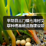 平陆县三门镇七湾村艾草种植基地道路建设项目采购公告(图4) 平陆县三门镇七湾村艾草种植基地道路建设项目采购公告(图4)