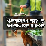 林芝市朗县小白若生态绿化建设项目招标公告(图4) 林芝市朗县小白若生态绿化建设项目招标公告(图4)
