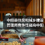 中阳县住房和城乡建设管理局竞争性磋商中阳县城区段雨污分流及道路提升改造工程项目(二期)招标公告(图1) 中阳县住房和城乡建设管理局竞争性磋商中阳县城区段雨污分流及道路提升改造工程项目(二期)招标公告(图1)