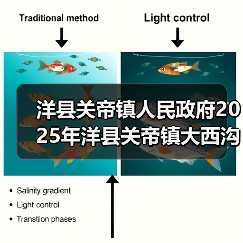 洋县关帝镇人民政府2025年洋县关帝镇大西沟村厚朴全产业链基础设施建设项目(第二次)竞争性招标公告(图4) 洋县关帝镇人民政府2025年洋县关帝镇大西沟村厚朴全产业链基础设施建设项目(第二次)竞争性招标公告(图4)