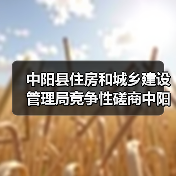 中阳县住房和城乡建设管理局竞争性磋商中阳县城区段雨污分流及道路提升改造工程项目(二期)招标公告(图4) 中阳县住房和城乡建设管理局竞争性磋商中阳县城区段雨污分流及道路提升改造工程项目(二期)招标公告(图4)