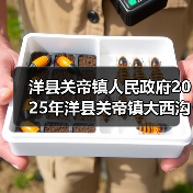 洋县关帝镇人民政府2025年洋县关帝镇大西沟村厚朴全产业链基础设施建设项目(第二次)竞争性招标公告(图3) 洋县关帝镇人民政府2025年洋县关帝镇大西沟村厚朴全产业链基础设施建设项目(第二次)竞争性招标公告(图3)