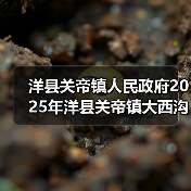 洋县关帝镇人民政府2025年洋县关帝镇大西沟村厚朴全产业链基础设施建设项目(第二次)竞争性招标公告(图1) 洋县关帝镇人民政府2025年洋县关帝镇大西沟村厚朴全产业链基础设施建设项目(第二次)竞争性招标公告(图1)