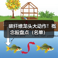 碳纤维龙头大动作!概念股盘点(名单)(图2) 碳纤维龙头大动作!概念股盘点(名单)(图2)