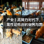 产业丨高算力时代下,高性能电容的突围与国产替代机遇(图2) 产业丨高算力时代下,高性能电容的突围与国产替代机遇(图2)