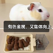 有色金属，又集体向上（图3）