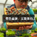 有色金属，又集体向上（图4）