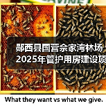 郧西县国营佘家湾林场2025年管护用房建设项目公告(图3) 郧西县国营佘家湾林场2025年管护用房建设项目公告(图3)
