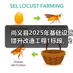 尚义县2025年基础设施提升改造工程1标段、2标段、3标段、4标段招标公告（图4）