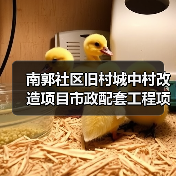 南郭社区旧村城中村改造项目市政配套工程项目项目招标公告（图4）