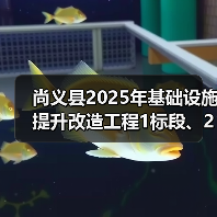尚义县2025年基础设施提升改造工程1标段、2标段、3标段、4标段招标公告（图2）