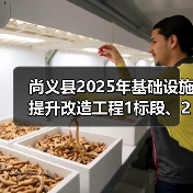尚义县2025年基础设施提升改造工程1标段、2标段、3标段、4标段招标公告（图1）