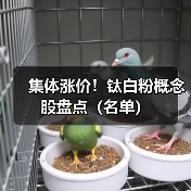 集体涨价!钛白粉概念股盘点(名单)(图4) 集体涨价!钛白粉概念股盘点(名单)(图4)