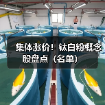 集体涨价!钛白粉概念股盘点(名单)(图1) 集体涨价!钛白粉概念股盘点(名单)(图1)